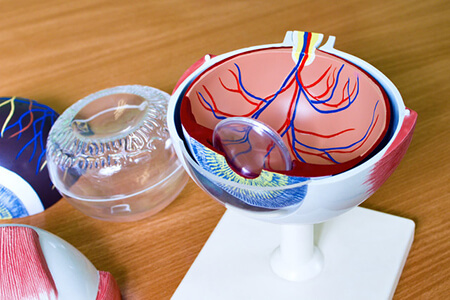 控制近视有妙招——近视度数屡次升高，高度近视怎么治疗?