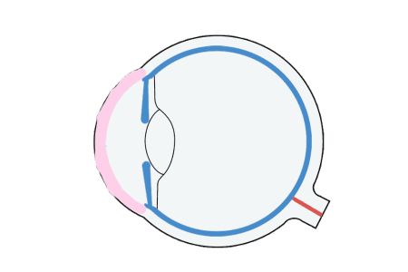 近视眼激光手术术后如何保养？主要注意什么？