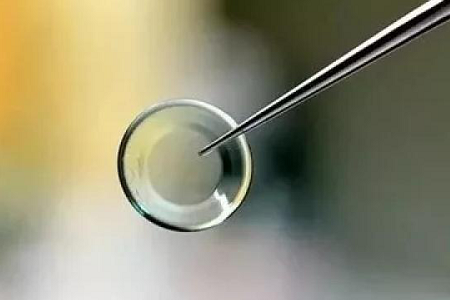 荷兰梦享角膜塑形镜怎么样？