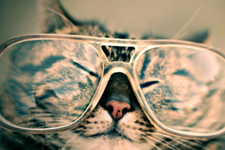 眼睛植入晶体近视手术后可以剧烈运动吗？